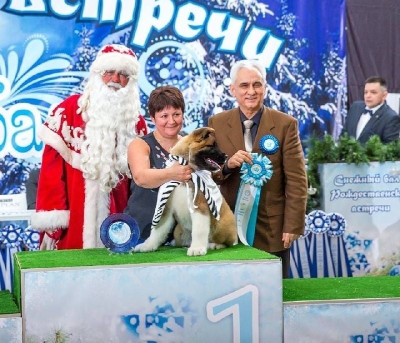 plan sexe villepinte